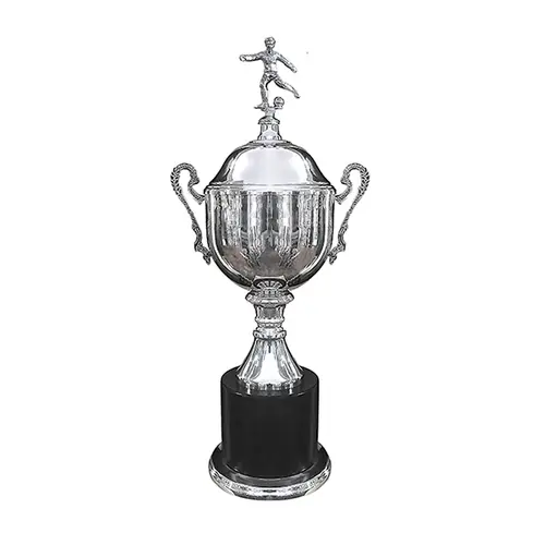 Copa Inglesa 115